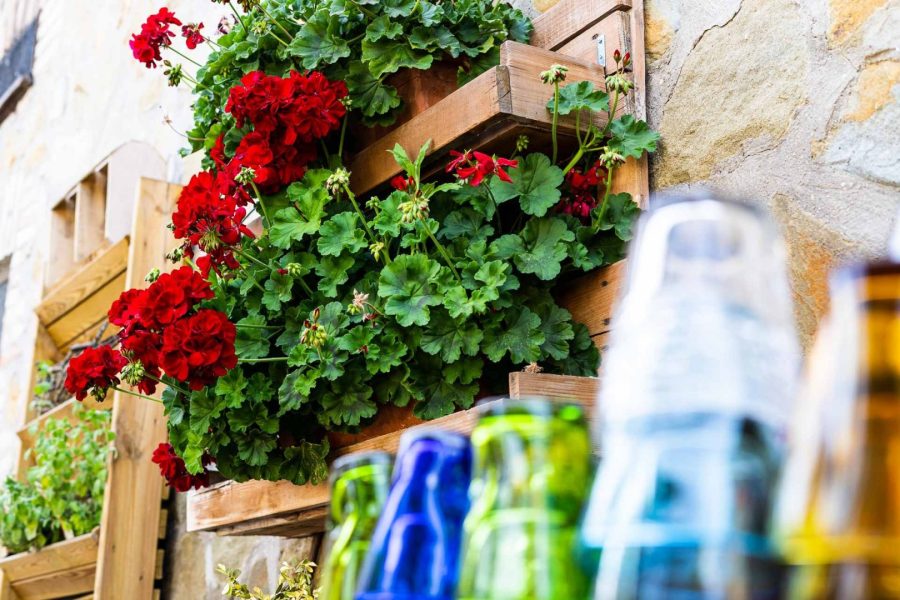 Ristorante Filo d'Olio · foto 5